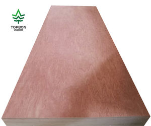 Contreplaqué stratifié en bois de peuplier, contreplaqué commercial, feuille de contreplaqué à acheter - Product Image 2