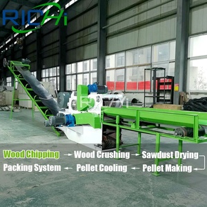 RICHIペレットプレスライン1-20TPH高品質のおがくずプレスライン - Product Image 2