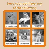 Solution orale d'électrolytes et de glucose de qualité supérieure pour chiens et chats, complément pour le système immunitaire, améliore les soins de santé des animaux de compagnie