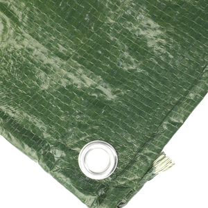 Bâche transparente verte robuste en PE enduit, <span class=keywords><strong>tissu</strong></span> imperméable en polyéthylène pour serre et couverture de jardin extérieur - Product Image 2