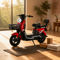 Nouveau Vélo Électrique Urbain Adulte 2026 avec Panier Avant et Dossier Arrière, Longue Autonomie