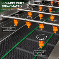 Automatische reinigingsmachines voor fruit, groenten, sla, ui, tomaat en bladgroenten
