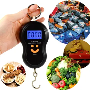 BL-G01 Popular Type Strong ABS Materials Mini Digital luggage Hanging Crane Scale 50kg Capacity