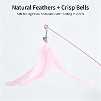 Jouet pour chat en plumes naturelles avec base en ABS durable et fil d'acier flexible, baguette interactive fixe pour l'exercice des chats en intérieur