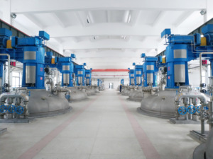 Biorreactor de Cultivo de Algas, Biorreactores de Microalgas, Biorreactor de Acero Inoxidable con Agitación Mecánica BLBIO-100SJA-200SJA - Product Image 6