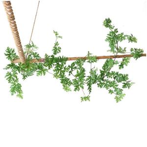 Pianta Artificiale Elegante Succulenta con Etichetta Personalizzata Fiori Artificiali Resistenti ai Raggi UV Realistici per Fotografia Scaffale a Muro in Rattan - Product Image 5