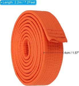 Cintura Colorata PATIKIL per Taekwondo in Poliestere, Cintura per Arti Marziali BJJ, Judo, Karate per Allenatori, Insegnamento e Pratica - Product Image 2