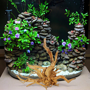 <span class=keywords><strong>Aquarium</strong></span> <span class=keywords><strong>Aquarium</strong></span> Landschapsarchitectuur Decoratie Natuurlijke Rododendron Wortel Drijfhout - Product Image 5