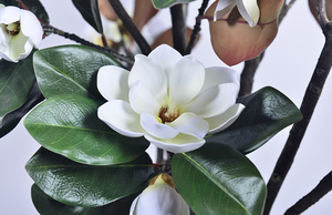 Árboles <span class=keywords><strong>de</strong></span> <span class=keywords><strong>Magnolia</strong></span> Artificiales en Maceta al por Mayor, Bonsáis Decorativos <span class=keywords><strong>de</strong></span> Interior para Decoración del Hogar - Product Image 4