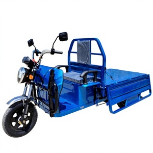 Triciclo de Carga para Transporte en Almacén, Triciclo Logístico de Carga en Venta - Product Image 1