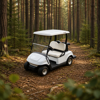Voiturette de golf électrique tout-terrain à 4 places, homologuée CE, avec batterie au lithium, pour usage en resort, villa ou parc