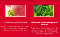 Réfrigérateur vitrine en acier inoxydable pour malatang - Refroidisseur réfrigéré pour fruits, légumes, viande et fruits de mer