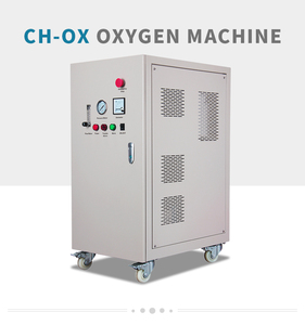 Concentrador industrial de oxigênio, 5 - 40 litros com compressor de ar sem óleo - Product Image 4