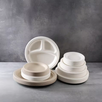 Assiettes jetables en bagasse de 9 pouces, écologiques, légères, compatibles micro-ondes et biodégradables pour le camping (vente en gros)