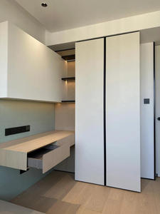 Armoire au design moderne pour vêtements Penderies Vente en gros d'usine bon prix <span class=keywords><strong>Meubles</strong></span> assemblés pour le salon et la buanderie - Product Image 6