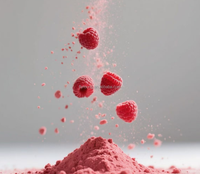 Poudre concentrée de jus de framboise saveur framboise, qualité supérieure, additif alimentaire en poudre de fruits de framboise, produit phare