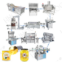 Hnoc Automatische Peren Ingeblikt Fruit Productie Ananas Proces Lijn Conserven Perziken Machine