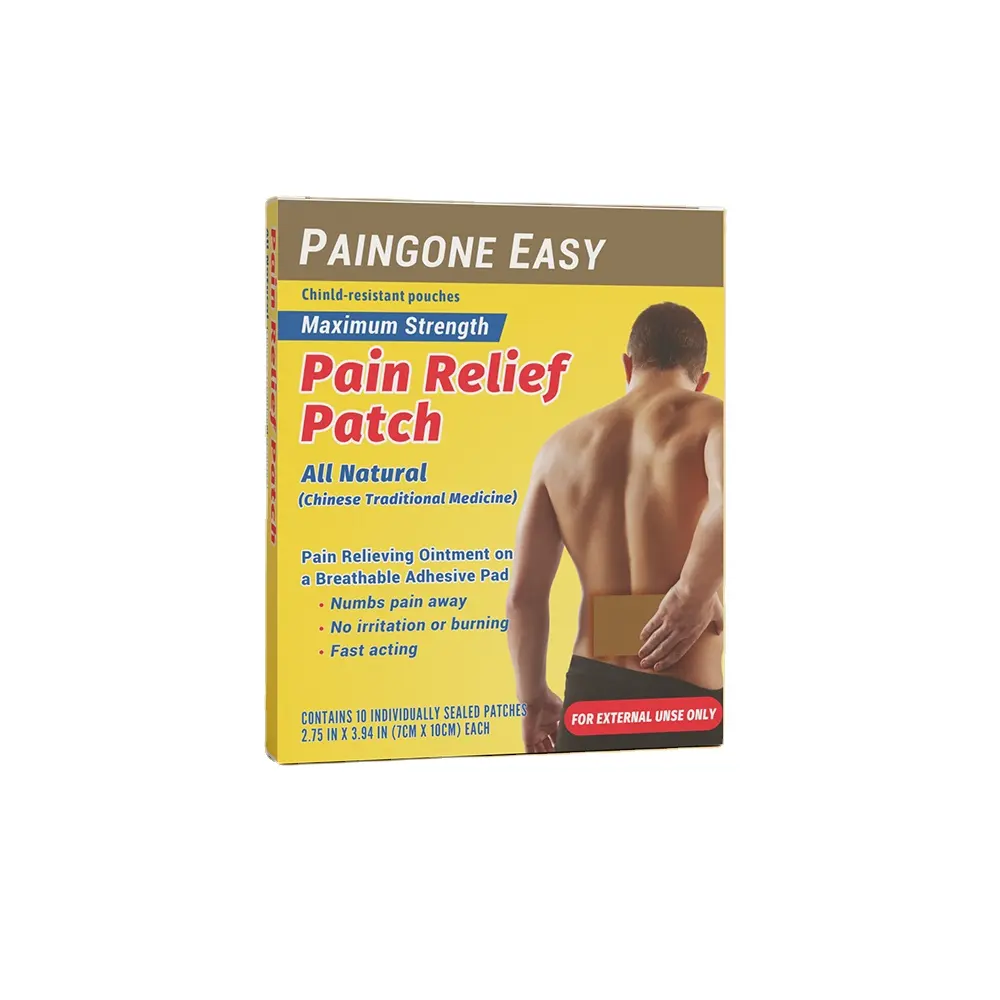 Paingone Easy Pain Muscle Aches Relieving Patches , 10 Count, For Arthritis And Back Pains