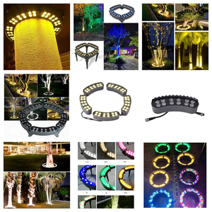 Lampada ad Anello LED Multicolore Dimmerabile da 12W IP66 AC/DC per Illuminazione Esterna Impermeabile per Giardino e Paesaggio - Product Image 2