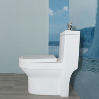 Cuvette de toilette monobloc de luxe à double chasse avec système de lavage par aspiration, design compact pour hôtels et salles de bain