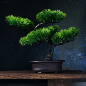 Bonsai di Pino Realistico per Ingresso Soggiorno, Decorazione Mobile TV, Pianta in Vaso Simulata - Product Image 5