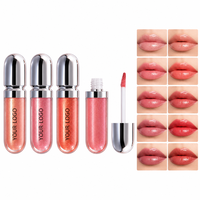 Rouge à lèvres liquide effet miroir, texture onctueuse à l'huile d'onagre, contrôle du sébum, marque privée, OEM, ODM, végétalien, sans cruauté animale, personnalisable