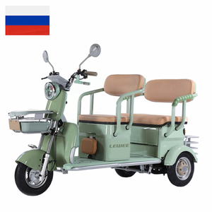 Tricycle électrique à plateau ouvert, 800W, 3 roues, moteur à moyeu arrière, cadre en acier - Product Image 1