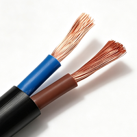 RVV 2-adriges flexibles Elektrokabel mit PVC-Isolierung für Innen- und Gewerbeverkabelung