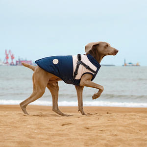 2025 OEM ropa <span class=keywords><strong>extra</strong></span> grande para perros marca de lujo moda verano invierno mascota abrigo chaqueta Hoddie camisas vestidos ropa para perros - Product Image 6