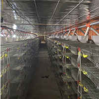 Vente Flash : Cage à Cailles en Métal Galvanisé de Haute Qualité avec Alimentation Semi-Automatique et Plateau de Collecte des Œufs pour Élevage Avicole HJ-QC400A