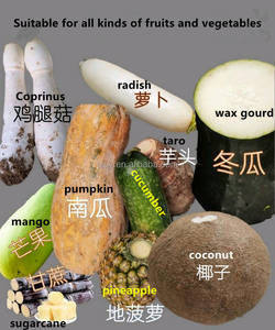 Pelador Eléctrico Portátil de Taro y Calabaza de 110v-220v, Máquina Peladora de Melón y <span class=keywords><strong>Coprinus</strong></span> <span class=keywords><strong>Comatus</strong></span> - Product Image 6