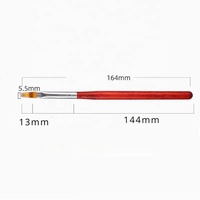 Nail Art Dessin Fleurs Pinceau Dentelle Ombre Design Acrylique Nail Gradient Pen DIY UV Gel Peinture Manucure Salon Outils Nail Charm