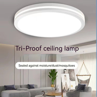 Lámpara de Techo Interior Ajustable 3 CCT 3000K con LED de Emisión Lateral Diseño Moderno para Dormitorio/Sala de Estar Base de Hierro