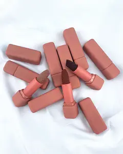 Creamy Type Nude Package Private Label Vegan Matte Lipstick Wholesale Brown Velvet Long Lasting Lipstick Matte Lipstick