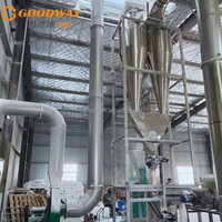 Ligne de production complète d'amidon de tapioca Goodway Machine de traitement de l'amidon de manioc