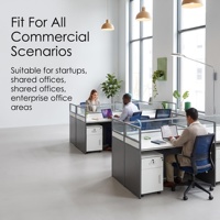 Serie de Escritorios Modulares Rectos, Ecológicos, Duraderos y Modernos para Oficina, Cubículo Lineal para Personal con Pantalla de Vidrio Esmerilado