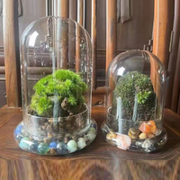 Vase dôme rond en verre borosilicate pour micro-paysage, plantes succulentes, fougères, mousse et plantes aériennes – Idéal pour la décoration
