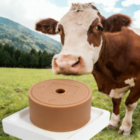 Briques de sel minéral nutritif à lécher |   Durable et longue durée |   Contribue à un rendement laitier sain chez les bovins et les ovins