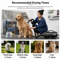 Sèche-cheveux pour chien Shernbao 2400W, double moteur, haute vitesse, séchage rapide, faible bruit 78dB, pour salon professionnel et usage domestique