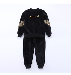 Vêtements pour enfants en gros, ensembles deux pièces décontractés pour garçons et filles, automne, aigle brodé, velours doré, vêtements pour enfants - Product Image 6
