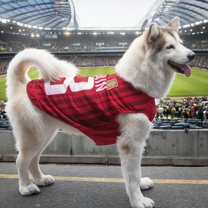 OEM ODM Camisetas para Cães da Copa do Mundo de Futebol <span class=keywords><strong>2026</strong></span>, Roupas de Alta Qualidade para Cães e Gatos, Fabricante de Roupas para Animais de Estimação e Humanos - Product Image 4