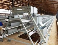 Cage à poules pondeuses de type 3/4 niveaux, galvanisée à chaud, avec système d'alimentation automatique pour élevage avicole