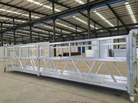 Plateforme de travail suspendue électrique pour la construction, fournie directement par l'usine, avec certificat CE