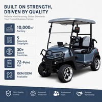 Voiturette de golf électrique à moteur AC 3,5 kW, 2 places, autonomie 80-100 km, frein à disque avant, frein à tambour arrière, utilisation sur les terrains de golf