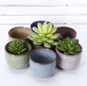 <span class=keywords><strong>Pot</strong></span> de fleur à fente, 1 pièce Z518, Mini <span class=keywords><strong>bonsaï</strong></span>, plantes hydroponiques succulentes, pour décoration de maison et de bureau - Product Image 1
