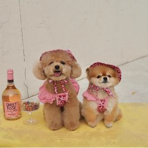 Pakaian renang anjing peliharaan setelan Bikini untuk baju renang anjing pakaian musim panas anak anjing baju renang pantai Bling gaun musim panas hewan peliharaan seksi - Product Image 6