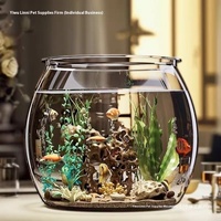 Aquarium écologique en plastique Transparent avec plantes vertes de poisson rouge pièce de Table de maison de bureau moderne en gros au détail disponible
