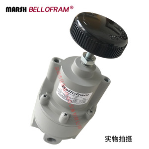 Régulateur de pression Marsh Bellofram 960-500-000 1/4 po pour applications de gaz et de vide manuelles - Product Image 1