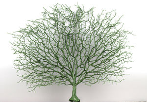 Qslh V988 Artificiale Asciutto Ramo di Un Albero Bianco Naturale Ramo di Corallo per La Decorazione - Product Image 4