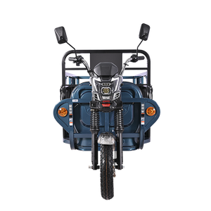 Tricicli elettrici del carico elettrico della ruota della cina 60v 3 per l'adulto - Product Image 2